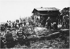 40Nɂ킽O˓͔_ǧȌ؂ɂĈێĂ